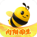 阿韦洛亚执教皇马前12场4负，阿隆索本赛季带队前28场5负